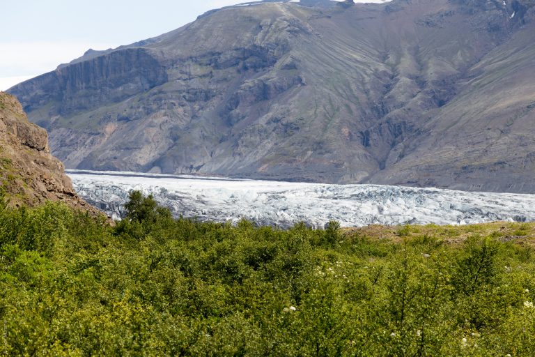 Skaftafellsjökull