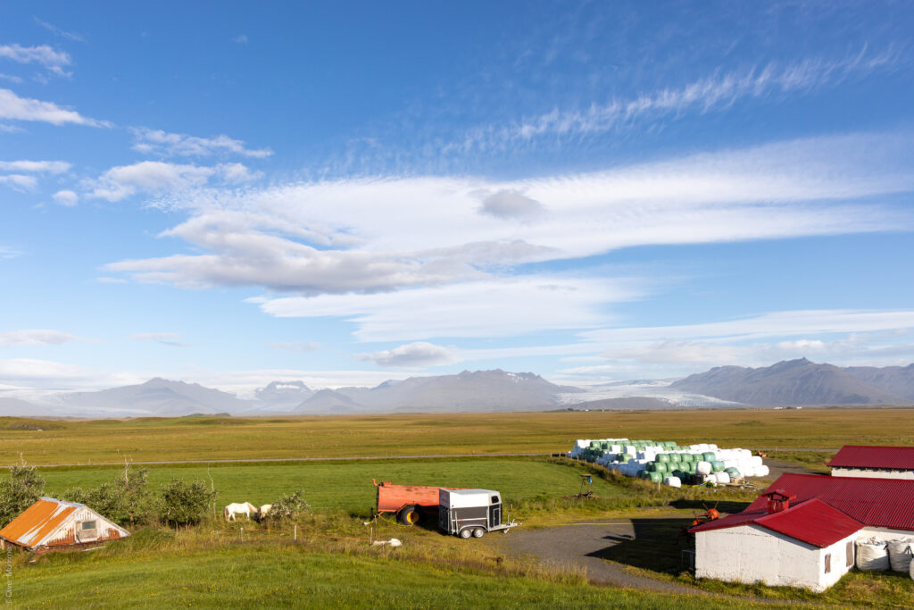 Guesthouse Nýpugarðar ● Blick auf die Gletscherzungen Skálafellsjökull, Heinabergsjökull und Fláajökull (von links nach rechts) ● ©2020