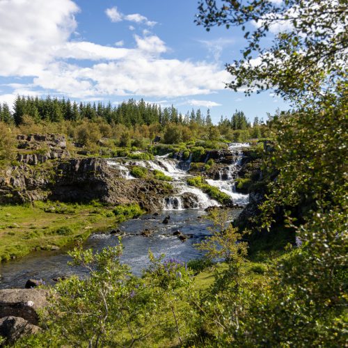 Reykjavík ● Elliðaárdalur ● Kermóafoss ● ©2022