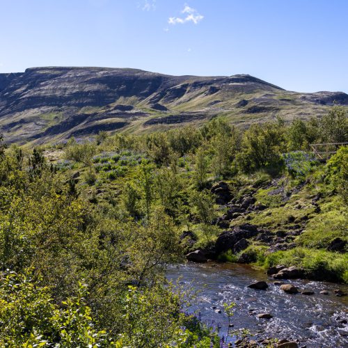 Mosfellsdalur bei Gljúfrasteinn ● ©2022