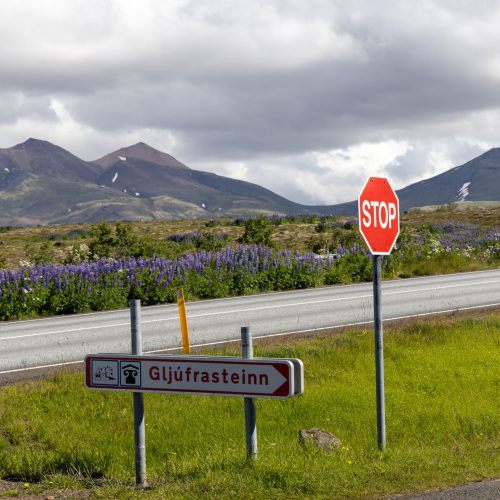 Mosfellsdalur bei Gljúfrasteinn ● ©2022